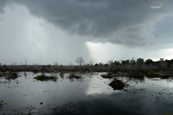 Tempesta i contrallum - Angkor - Cambodja