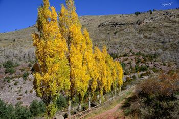 Serrat Sta Creu