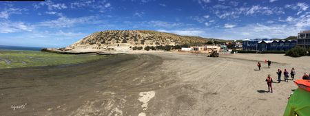 PUETO PIRAMIDE - PENINSULA VALDES - ARGENTINA