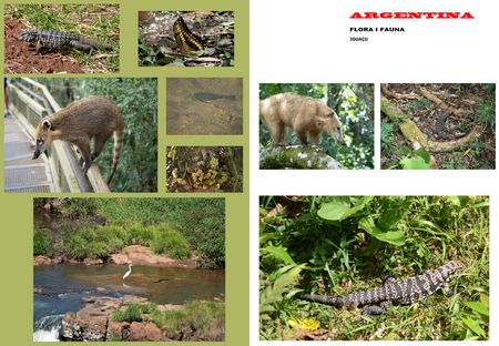 FLORA I FAUNA - IGUAÇU - ARGENTINA