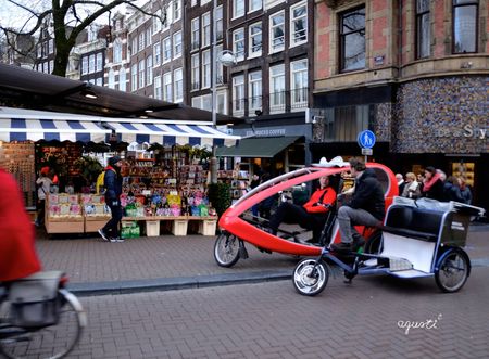 Mercat de les flors . AMSTERDAM - HOLANDA