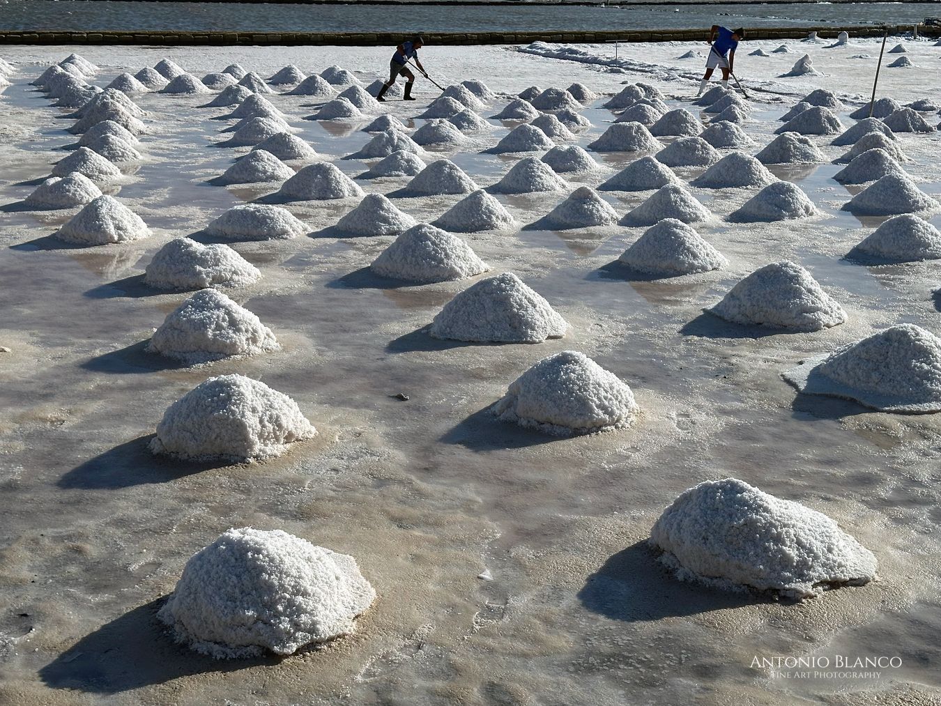 Trapani_Salinas