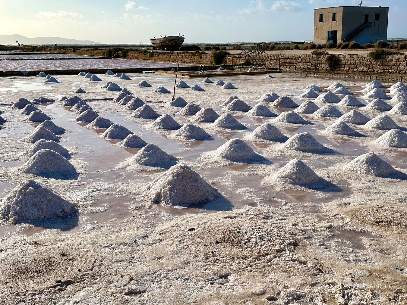 Trapani_Salinas