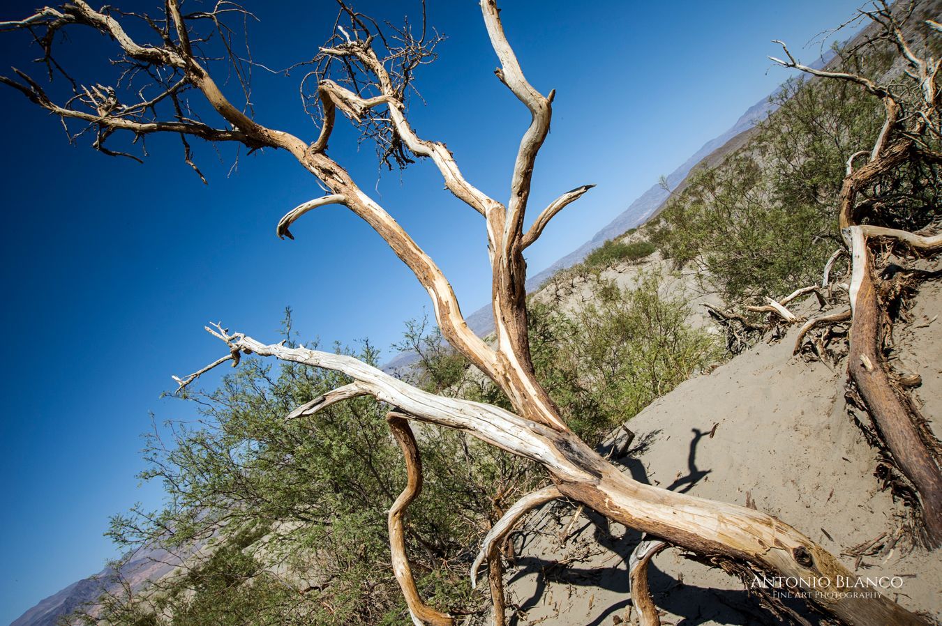 Death Valley