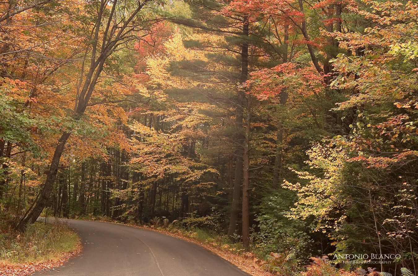 Maine