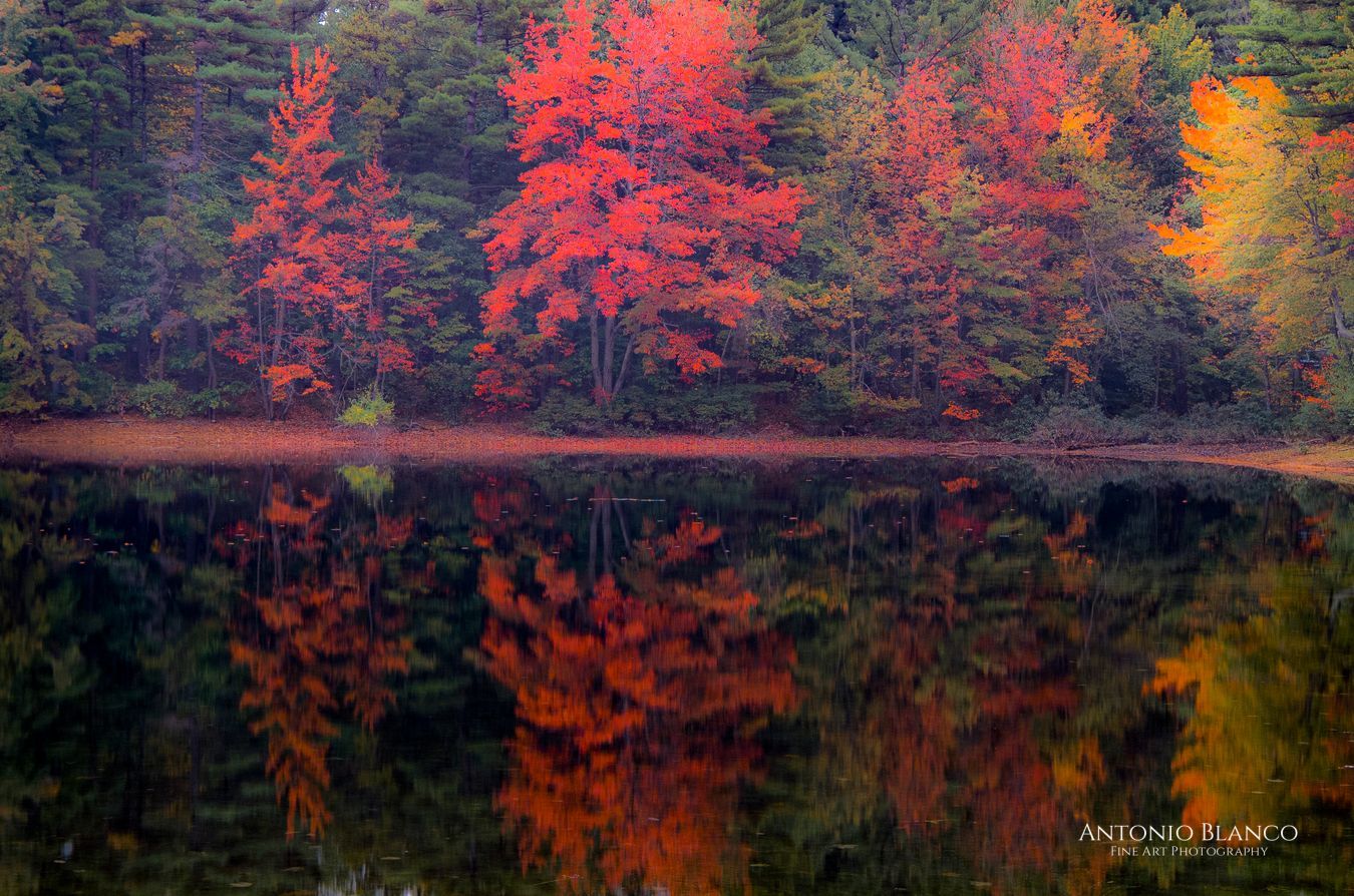 Maine close to Auburn