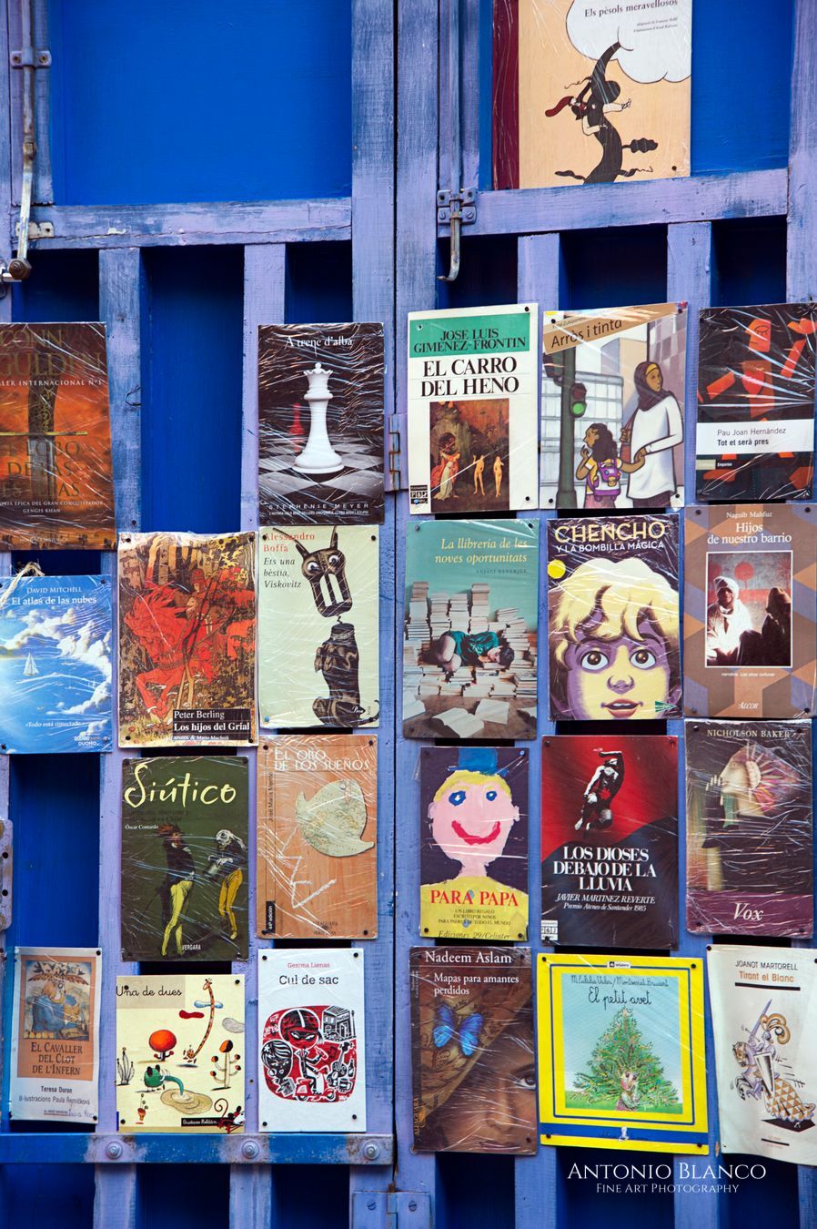 Carrer de Asturies_Librería