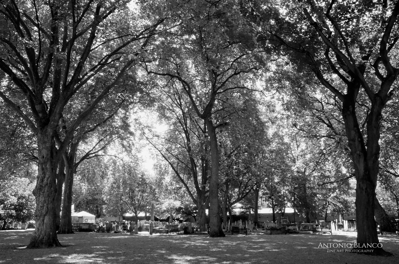 London_Bunhill Fields Burial