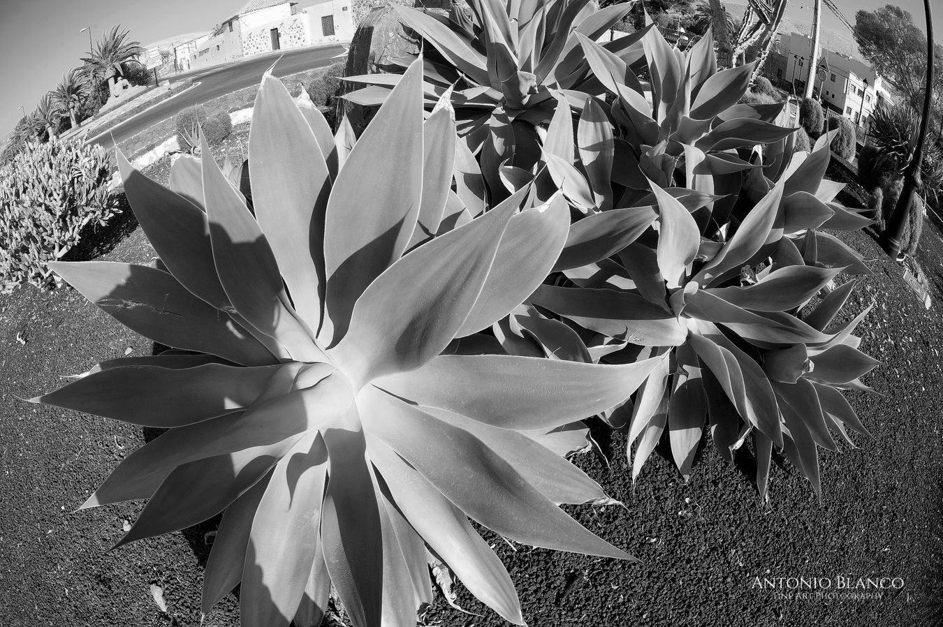 Pájara (Fuerteventura)