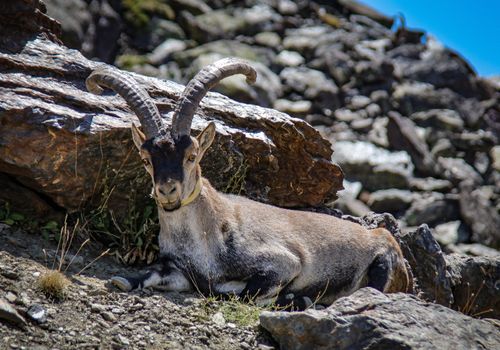 SUBIDA AL PICO VELETA 2024 cámara 12