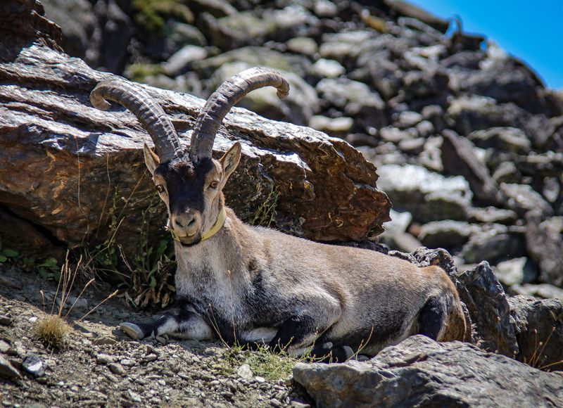 SUBIDA AL PICO VELETA 2024 cámara 12