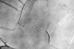 Tierra de Campos I, 1949