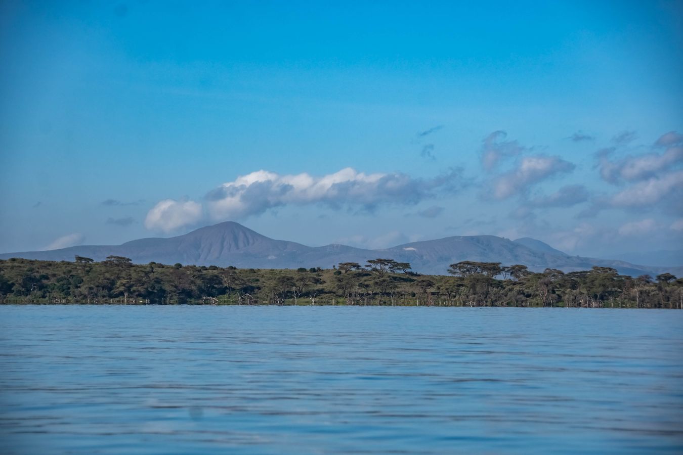 Lago Naivasha