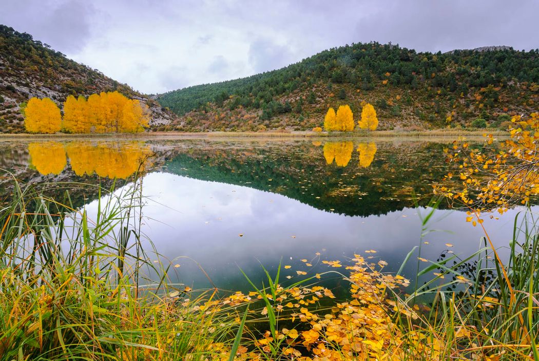 Reserva Natural Laguna del Marquesado.P. Natural de la Serranía de Cuenca