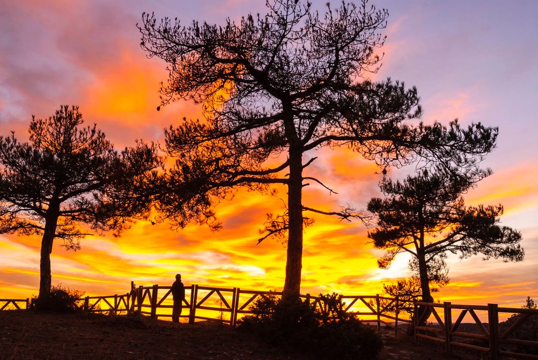 Atardecer.Parque Natural de la Serranía de Cuenca.