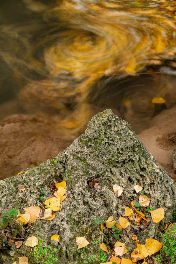 Parque Natural Barranco del Río Dulce.Aragosa Guadaljara