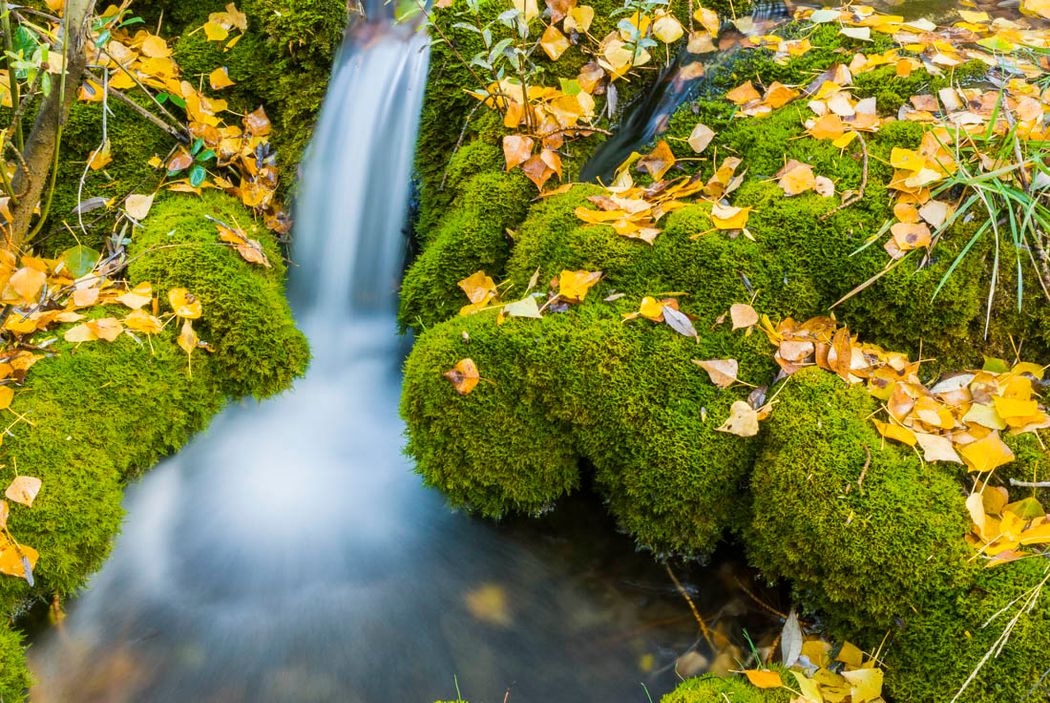 Nacimiento del río Júcar.Tragacete.Parque Natural de la Serranía de Cuenca