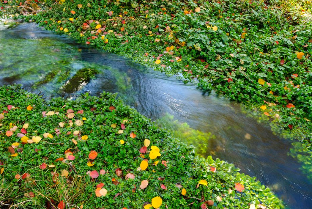 Nacimiento del río Júcar.Tragacete.Parque Natural de la Serranía de Cuenca