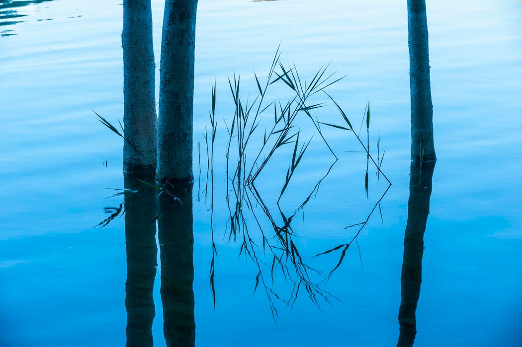 Parque Natural Lagunas de Ruidera. Almansa