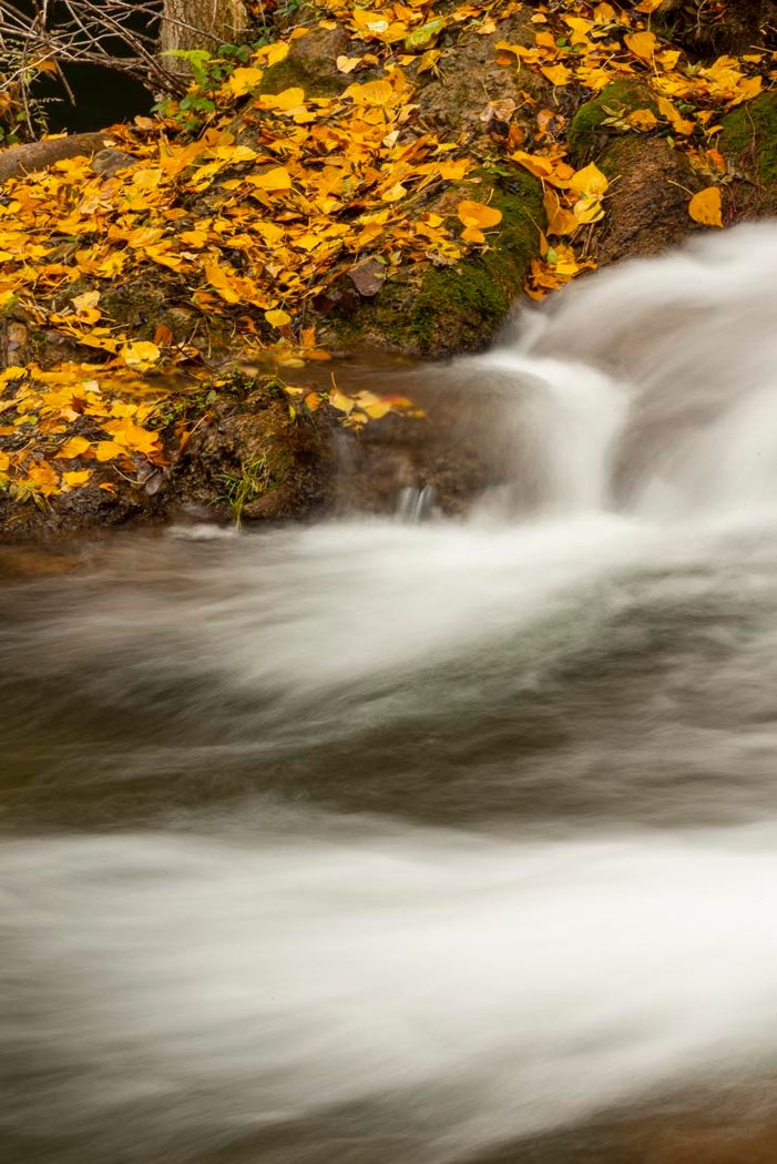 P.Natural del Barranco del río Dulce.Aragosa.Guadalajara