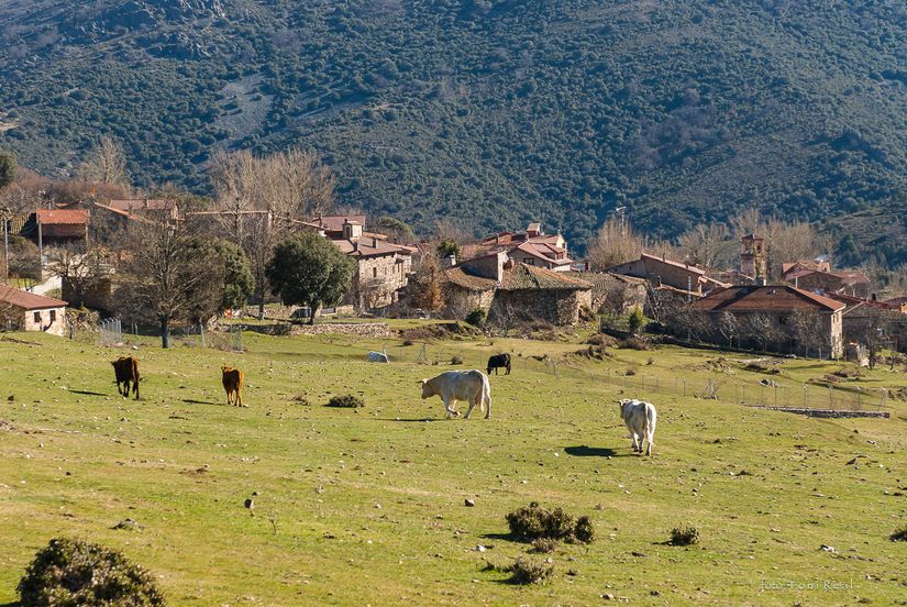 Poveda de la Sierra. Guadalajara