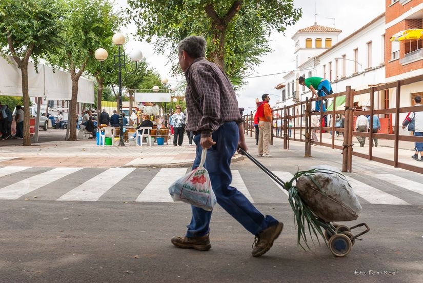 Almodobar del Campo. Ciudad Real.