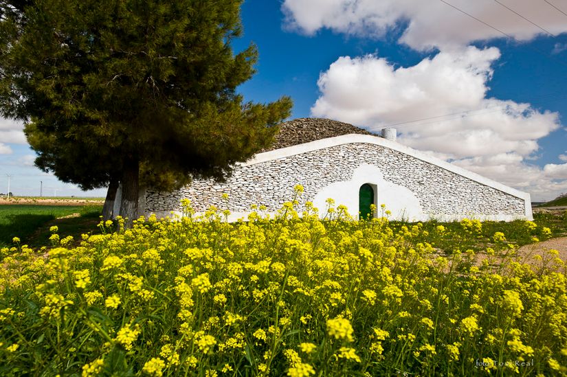 Tomelloso. Ciudad Real