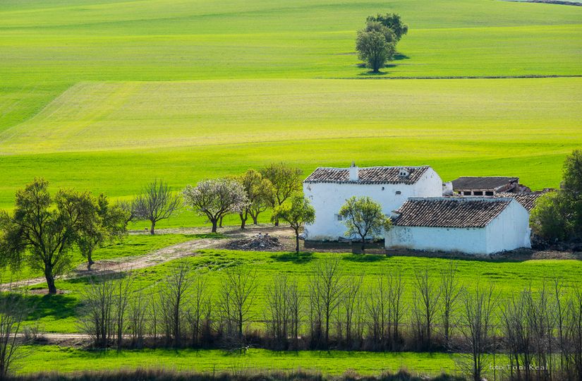 Villar de Cañas. Cuenca. 