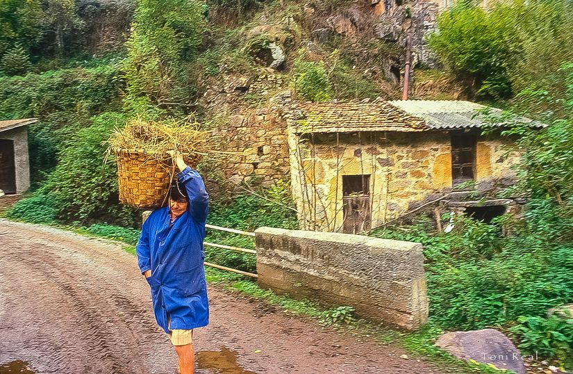 Arbeyales. Asturias.