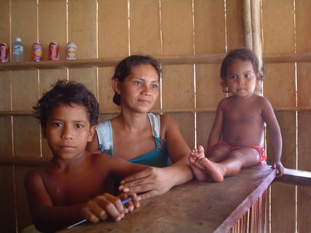 Amazonía, Brasil 2005