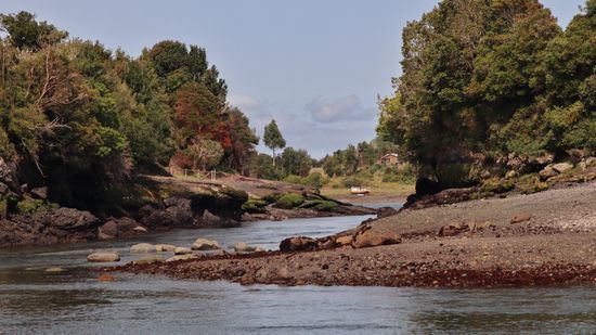 Isla Añihué, Chiloé 2020