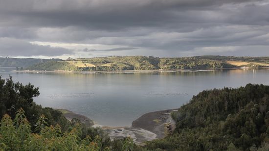Estero a bonito, Quemchi, Chiloé 2020