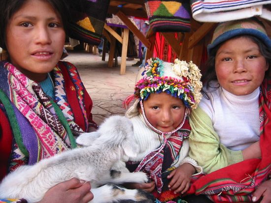 PISAC, Perú 2006