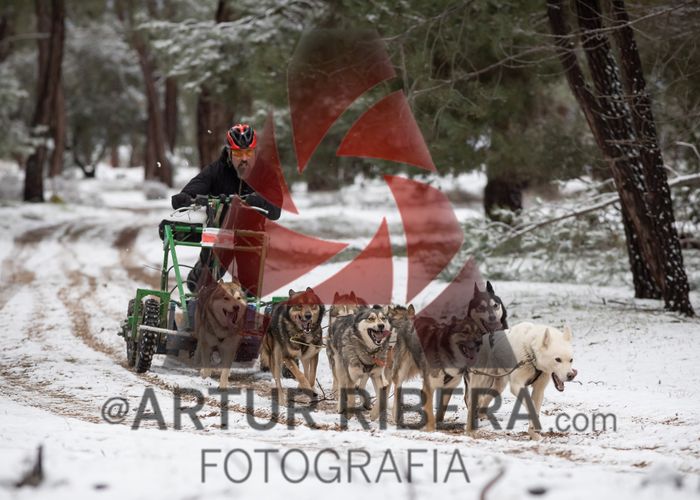 Aranda de Duero (Domingo)