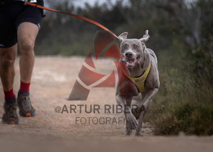 Canitrail del Cabrafeixet 2024