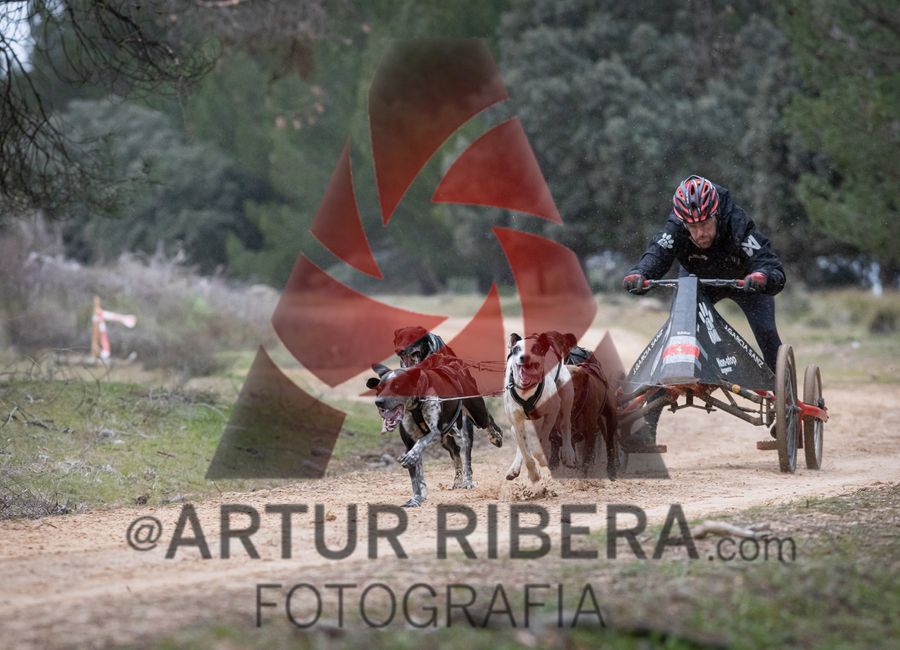 Aranda de Duero (Sábado)