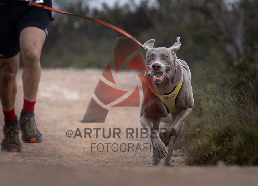 Canitrail del Cabrafeixet 2024