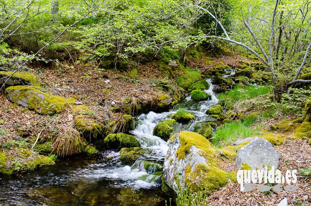 Moncayo arroyo