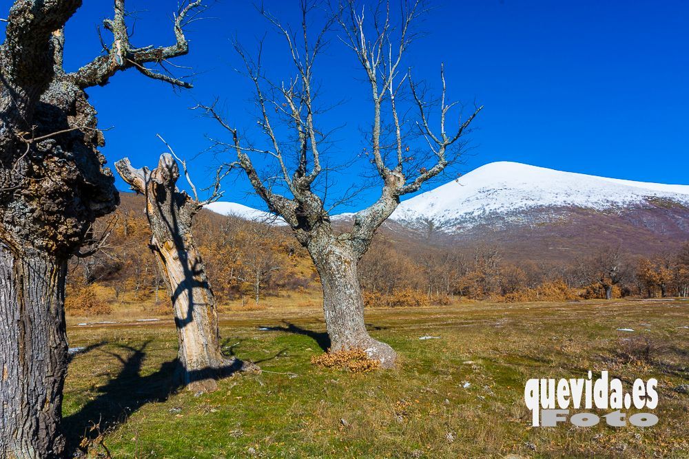 Moncayo nevado desde la Dehesa de La Cueva