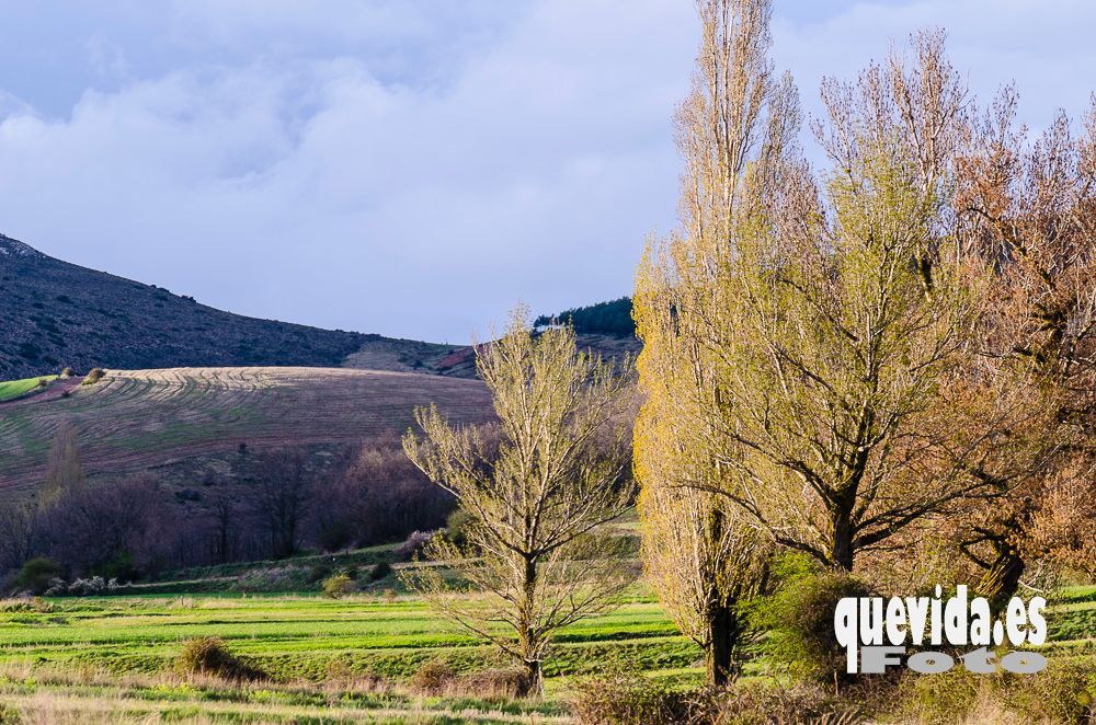 Subida al Canto Hincado desde La Cueva