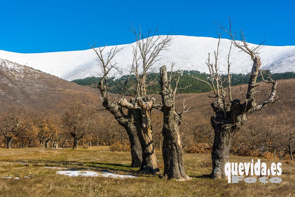 Los Prados. Cueva de Ágreda