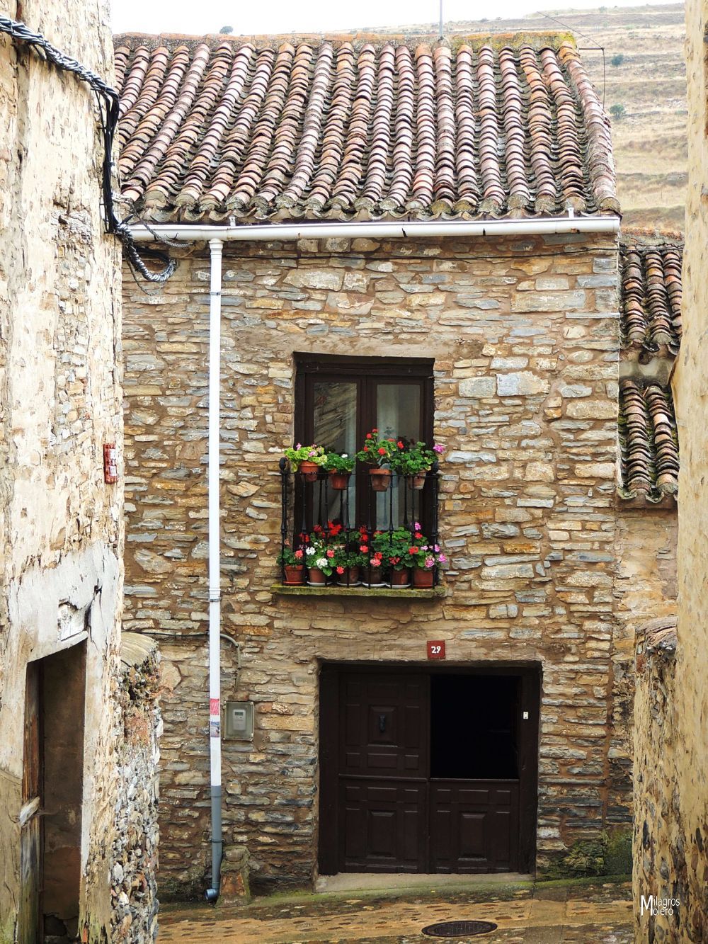 Paseando por Yanguas (Soria)