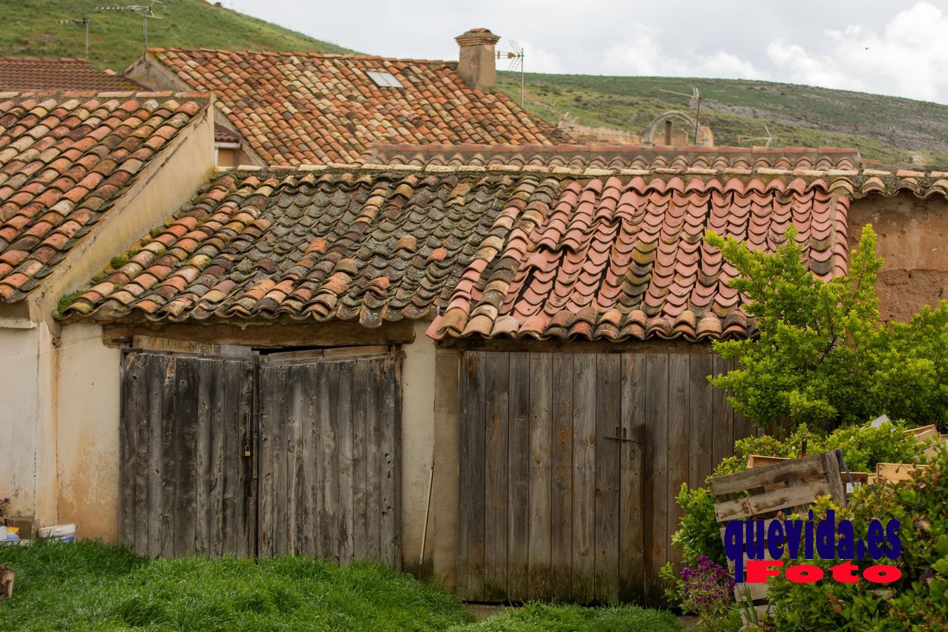 Berlanga de Duero