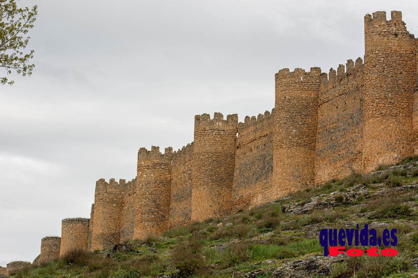 Berlanga de Duero