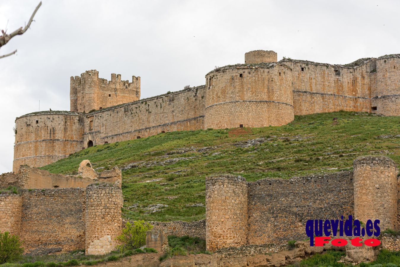 Berlanga de Duero