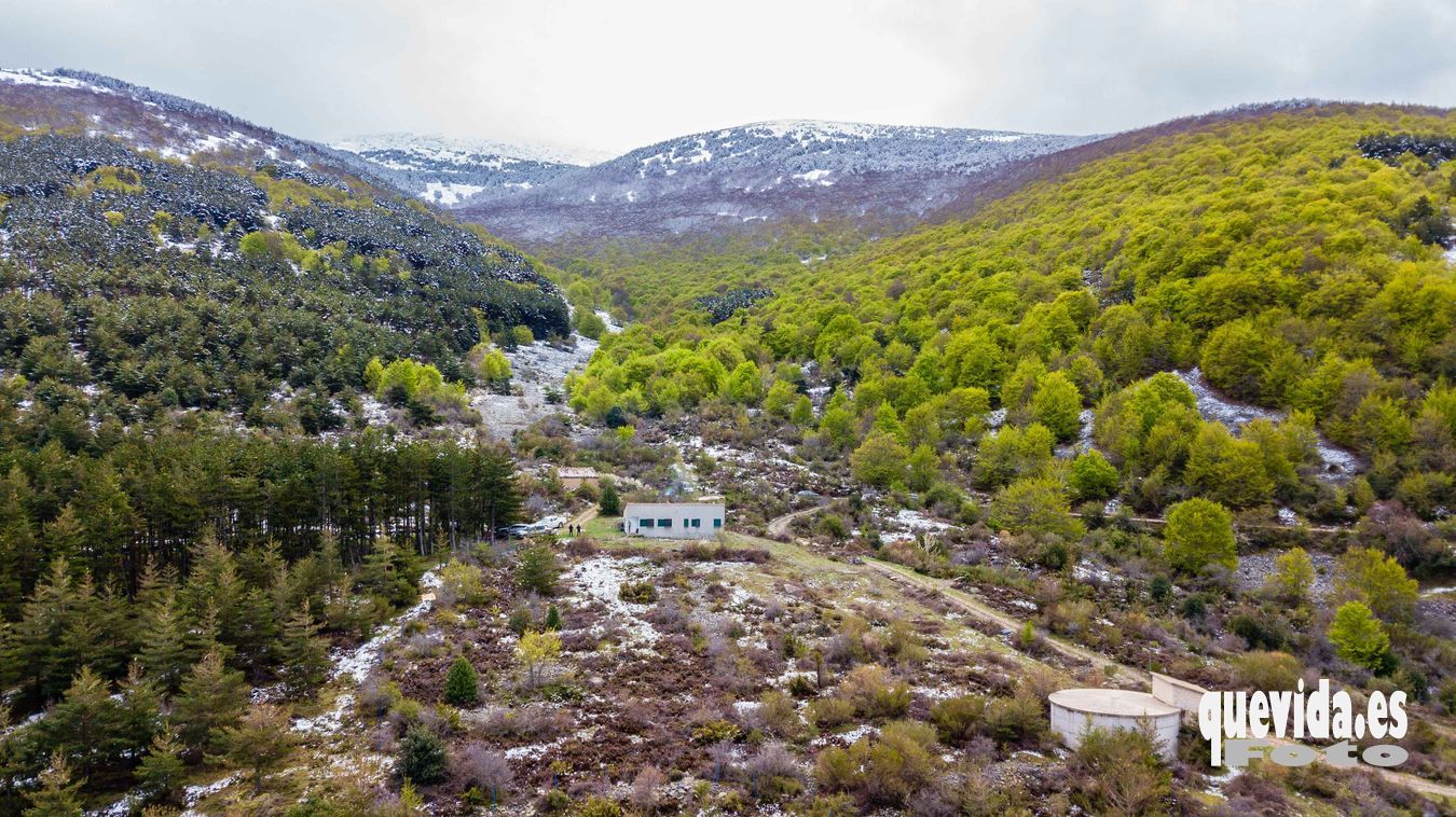 Moncayo Hayedo Hoyada