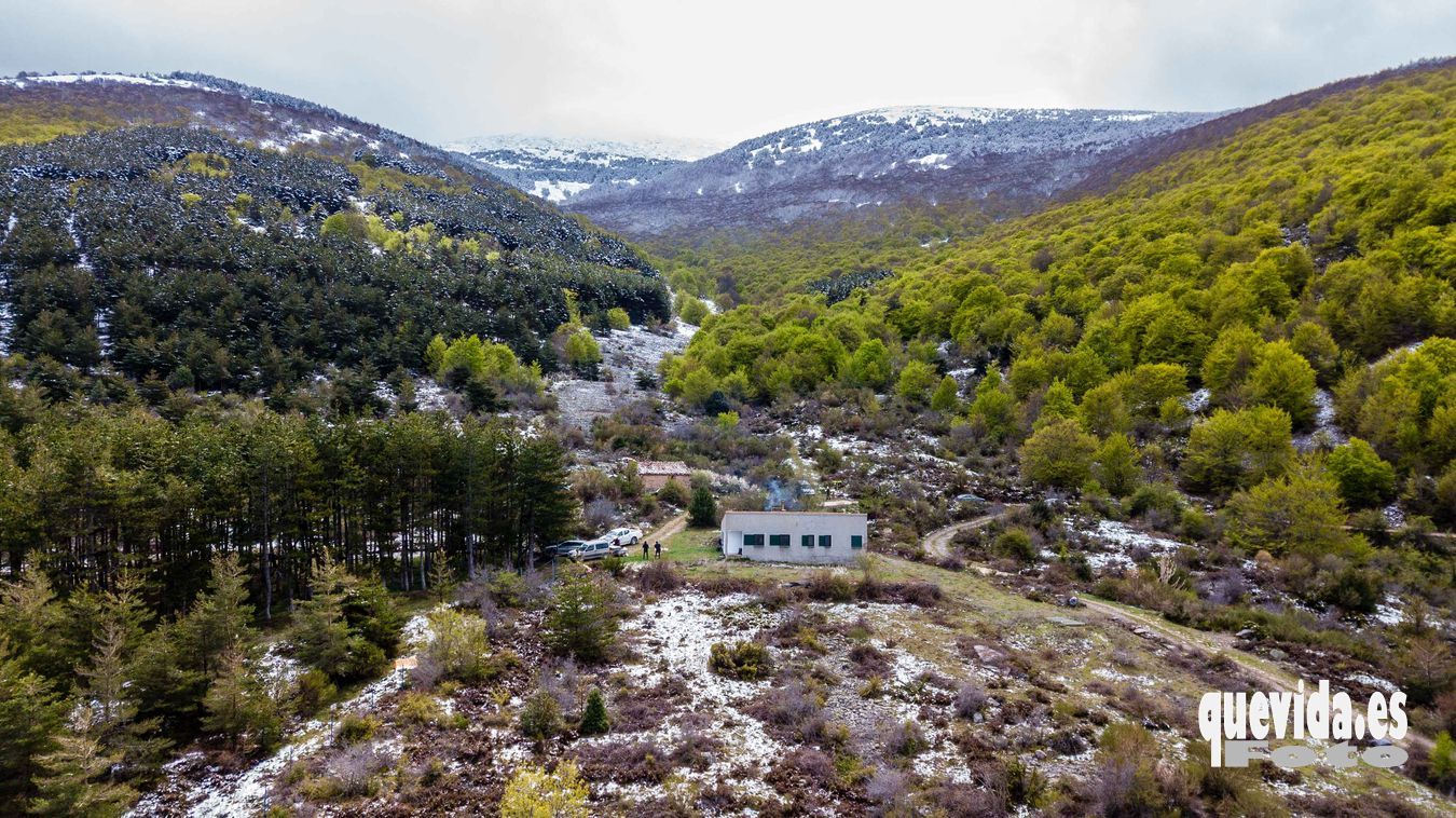 Moncayo Hayedo Hoyada