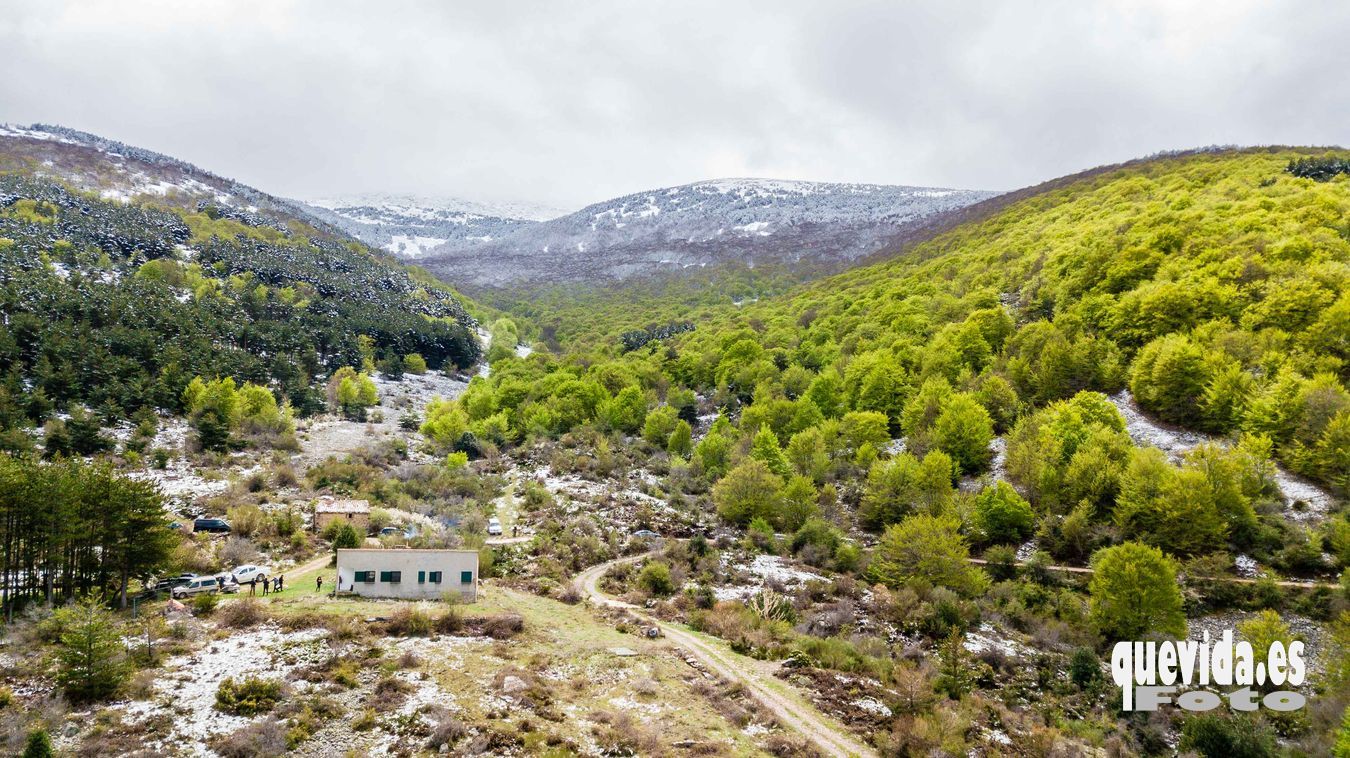 Moncayo Hayedo Hoyada