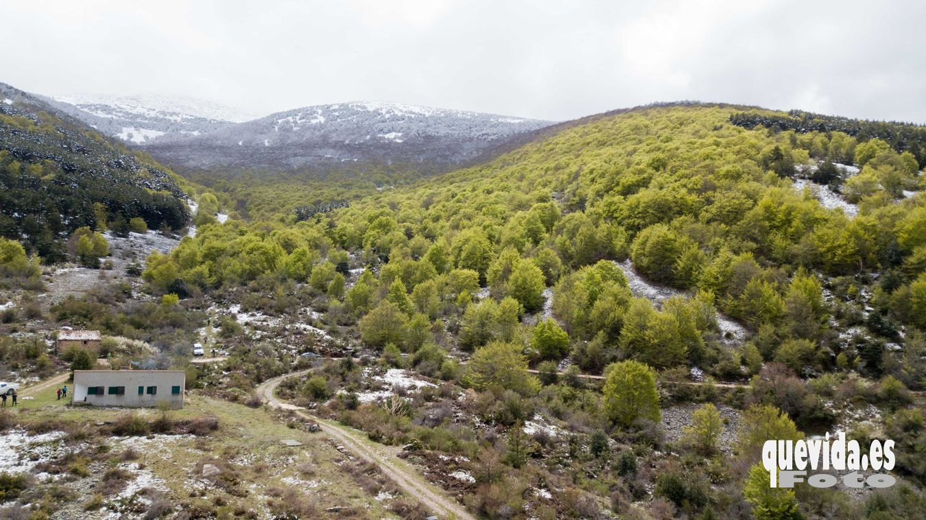 Moncayo Hayedo Hoyada