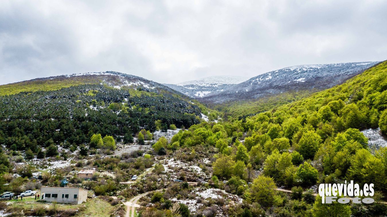 Moncayo Hayedo Hoyada